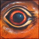 Augenblick eines Skinks Acryl auf Leinwand;
30 x 30 cm